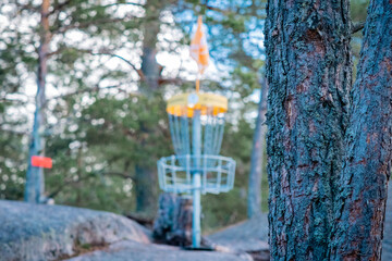 blurred discgolf basket behind a tree