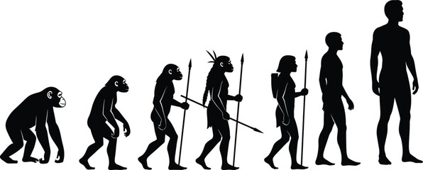 Evolution of mankind illustration showing transformation from ape to modern human with spears, anthropology science and biology concept vector design.