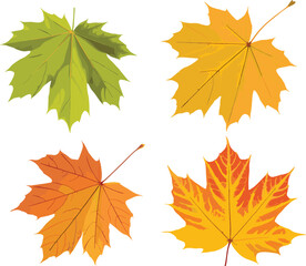 Colorful autumn maple leaves vector illustration showing green, yellow, and orange fall foliage for seasonal nature design and decorative artwork.