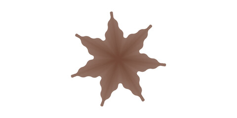 The colorful autumn maple and oak leaves are isolated on a white background for the fall season. 