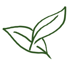 Beautiful Green Tea Leaf Line Art Illustration