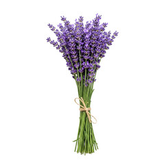 Naklejka premium Lavender Bunch Isolated on Transparent Background Representing Aromatic Herb and Floral Beauty 