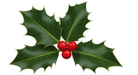 Christmas holly leaves with red berries isolated on a transparent background