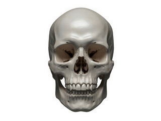 Fototapeta premium Realistic human skull with detailed bone structure and empty eye sockets isolated on transparent background