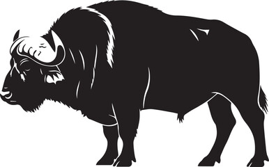 Majestic silhouette of a powerful gaur bovid animal standing still side profile