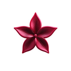 Fototapeta premium Beautiful pink lily flower isolated on white background with soft natural lighting