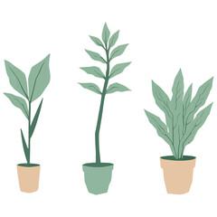 Set of Three Minimalist Line Art Prints of Monstera Fiddle Leaf Fig and Snake Plant | Modern Botanical Line Drawings Trio Wall Art | Minimal Plant Illustration Series Featuring Popular Houseplants 