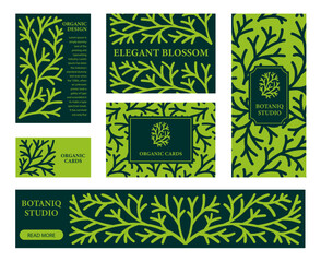 Branding Templates Set with Hand-Drawn Cypress Branches. Coniferous Banner Designs