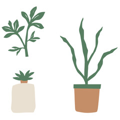 Set of Three Minimalist Line Art Prints of Monstera Fiddle Leaf Fig and Snake Plant | Modern Botanical Line Drawings Trio Wall Art | Minimal Plant Illustration Series Featuring Popular Houseplants 