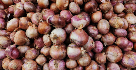 Fresh Red Onions Piled at Market Stall