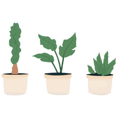 Set of Three Minimalist Line Art Prints of Monstera Fiddle Leaf Fig and Snake Plant | Modern Botanical Line Drawings Trio Wall Art | Minimal Plant Illustration Series Featuring Popular Houseplants 