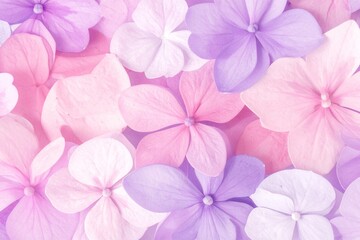 Soft focus pastel hydrangea flowers in pink and purple