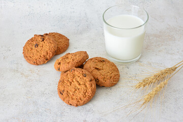 Freshly Baked Cookies and a Glass of Milk on concrete background