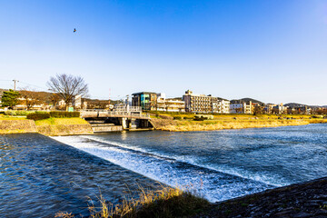 Spring scenery of the Kamo River in Kyoto