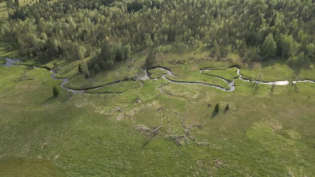 Borova Lada region in Sumava Czechia, countryside nature forest aerial drone footage