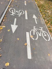 bicycle lane sign