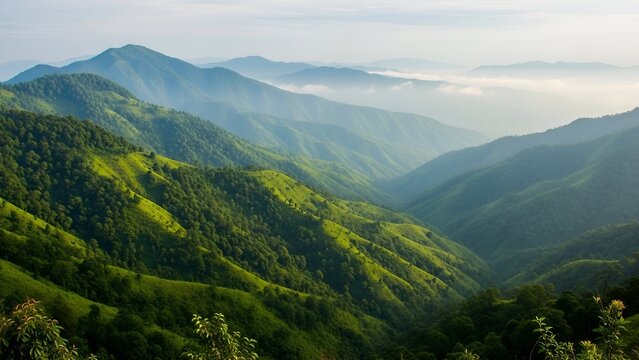 Lush Green Mountain Range in Misty Morning with Rolling Hills and Bright Vegetation