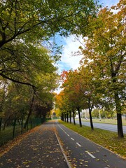 autumn in the city street