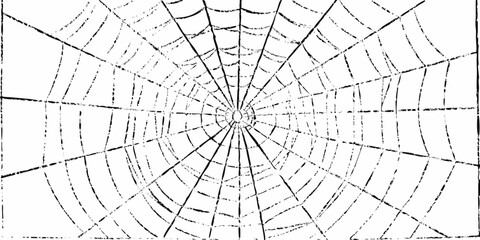 Abstract black and white radial spider web pattern with textured lines on a white background