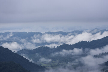 Distant mountain peaks shrouded dense fog and soft cloud formations. serene natural landscape unfolds, offering breathtaking view. Rolling forest hills appear through mist, creating tranquil