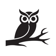 owl on white background