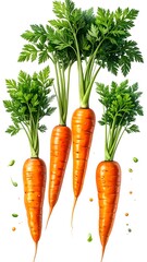 Four vibrant, freshly-harvested carrots stand upright against a clean white background, showcasing their orange roots and green leafy tops