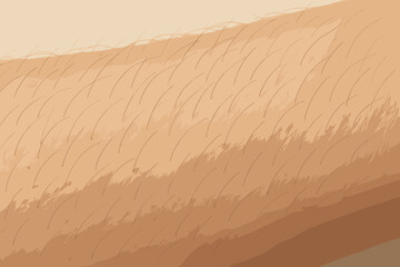 Pores skin soft shading illustration details fine vector detailed natural forearm follicles