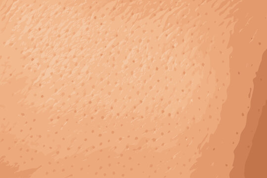 Natural vector pores fine texture skin detailed illustration highlights photorealistic smooth