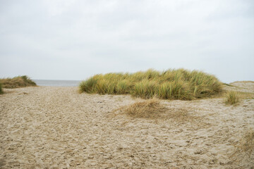 A beach on North Sea in Germany with a grassy area leading to the water