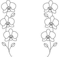 Elegant orchid line art stems