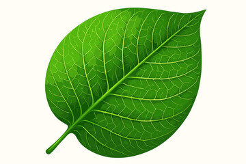 Obraz premium Detail highlights vector vein veins leaf shading smooth vibrant illustration network radiating