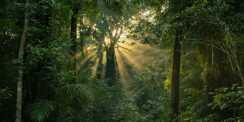Naklejka premium Lush green forest, sunlight streams through trees, creating a serene, tranquil, and vibrant atmosphere.
