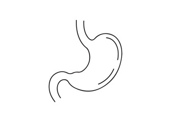 Vector art of human stomach line art for digestive system