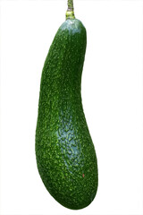 Avocado fruit (Persea americana Mill) white background, Avocado fruit natural herbal medicine