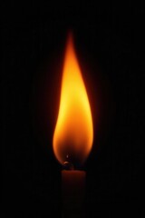 Single flickering flame, bright orange core, dark edges against pure black , dark, background