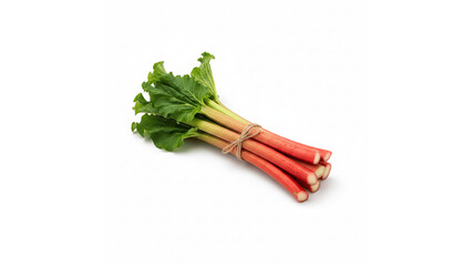 Fresh Red and Green Rhubarb Stalks Tied with Twine, Isolated transparent background, Tart Vegetable.