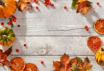 Autumn elements on wooden floor