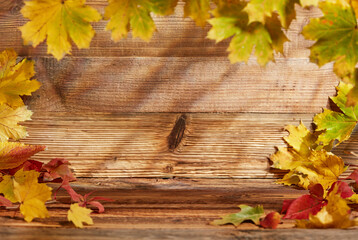 Autumn foliage background