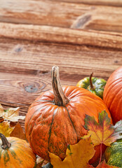 Autumn Pumpkin and maple leafs