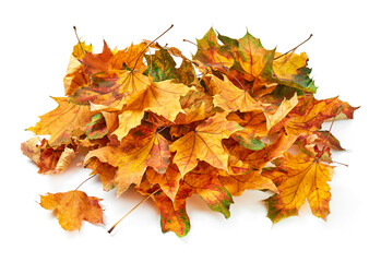Dry leafs pile
