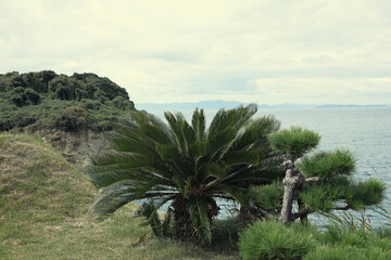 Fishing Village's Boats and the Sea's Voice. Though I see no fish's shadow, I imagine it and sing.