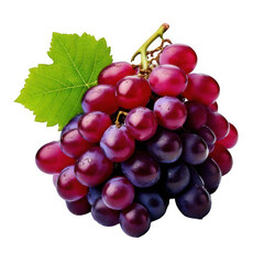 Fototapeta premium Red grapes bunch isolated on white background