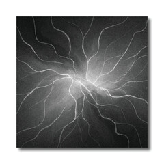 Abstract Dark Monochrome Neural Network Background with Branching Lines and Central Glow