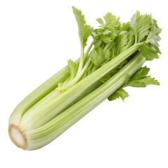 Obraz premium Fresh Raw Green Celery Bunch with Leaves