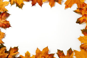 Dry leafs frame on white background
