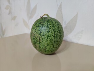 Small, Whole Mini-Watermelon with Mottled Green Rind, Centered on a Glossy Beige Reflective Surface Against a Neutral Leaf-Patterned Wallpaper Background.