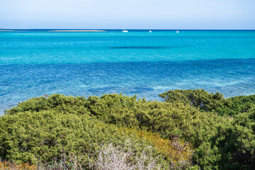 Fototapeta premium SardiniaIsland in the Mediterranean Sea