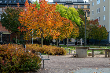 Waterfront park Strömparken during autumn in Sweden. Norrköping is a historic industrial town in Sweden.
