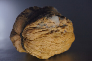 Close-up of a moldy walnut in its shell, showing signs of microbial decay. Visual concept for themes of poor quality, danger, or health risks in food.