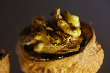 Close-up of a moldy walnut in its shell, showing signs of microbial decay. Visual concept for themes of poor quality, danger, or health risks in food.